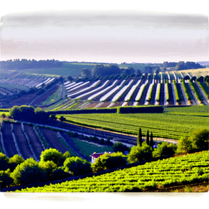 Stuttgart Vineyards Landscape PNG 90 PNG image with transparent background