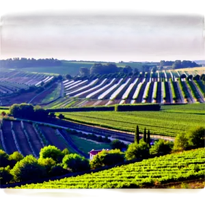 Stuttgart Vineyards Landscape Png 90 PNG Image