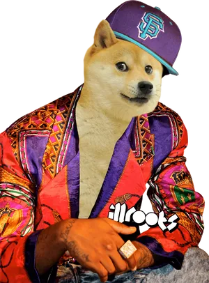 Stylish Dogein Hip Hop Outfit PNG Image