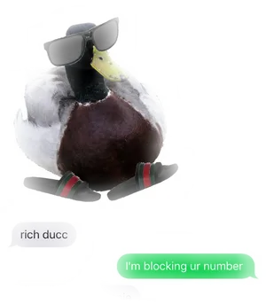 Stylish Duck With Sunglassesand Shoes PNG Image