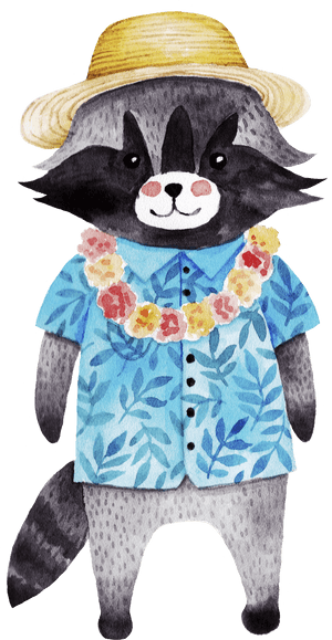 Hawaiian Style Raccoon Png Transparent, Png Download PNG image with transparent background