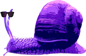 Stylish Snail Wearing Sunglasses PNG Image