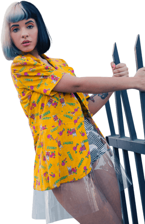 Png, Transparent, And Melanie Martinez Image - Melanie Martinez Transparent Png, Png Download PNG with transparent background