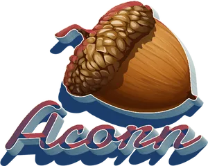 Stylized Acorn Illustration PNG Image