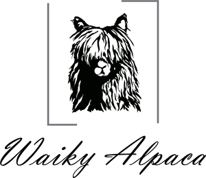 Stylized Alpaca Logo PNG