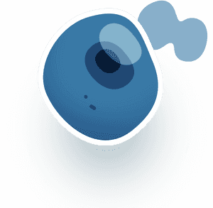 Cell Biology Png , Png Download - Cell Biology Background Cell, Transparent Png PNG image with transparent background