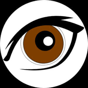Human Eye Eyebrow Clip Art - Brown Eye Clipart, HD Png Download PNG