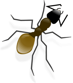 Ant Bw Clip Art, HD Png Download PNG image with transparent background
