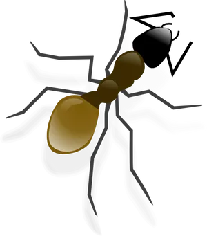 Stylized Ant Illustration PNG Image