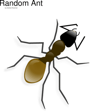 Ant - Ant Clip Art, HD Png Download PNG image with transparent background