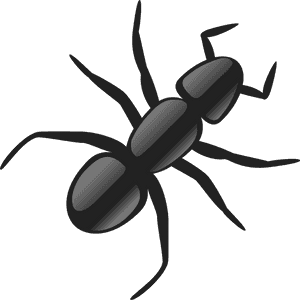 Ant Png - Ant Clip Art, Transparent Png PNG image with transparent background