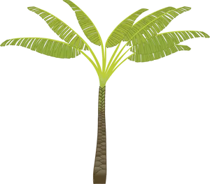 Stylized Banana Tree Illustration PNG Image