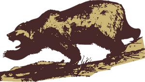 Wildlife,carnivoran,bear - Grizzly Bear Clip Art, HD Png Download PNG with transparent background