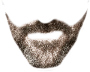 Stylized Beard Graphic PNG Image