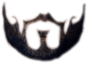 Transparent Beard Scruffy - French Cut Beard Png PNG