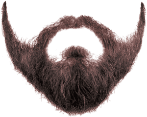 19 Beard Png Freeuse Stock Red Huge Freebie Download - Beard Png PNG