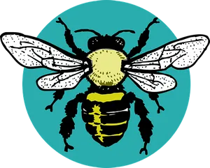 Stylized Bee Illustration PNG Image