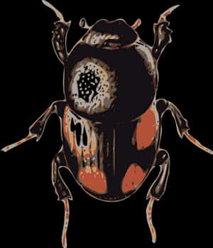 Stylized Beetle Artwork PNG image with transparent background