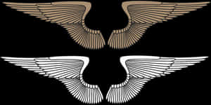 Stylized Bird Wings Graphic PNG image with transparent background