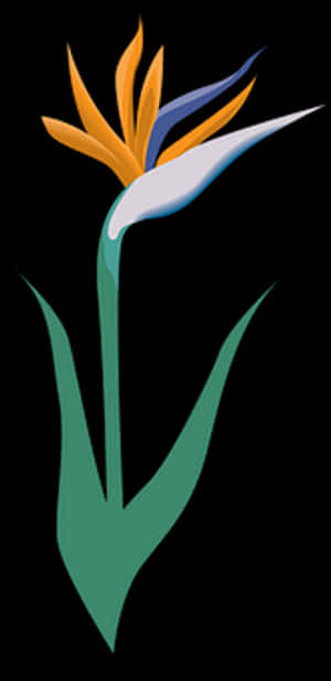 Stylized Birdof Paradise Flower Illustration PNG image with transparent background