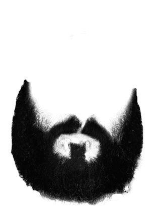 Beard Twelve - Black Beard Png PNG