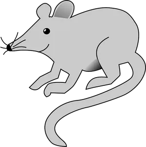 Stylized Blackand White Rat Illustration PNG Image