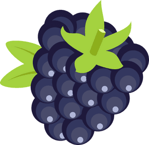 Fruit Clipart Blackberry, HD Png Download PNG image with transparent background