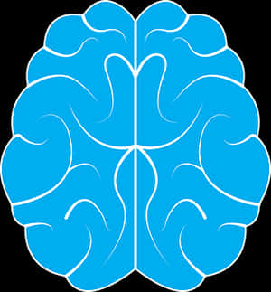 Stylized Blue Brain Illustration PNG image with transparent background