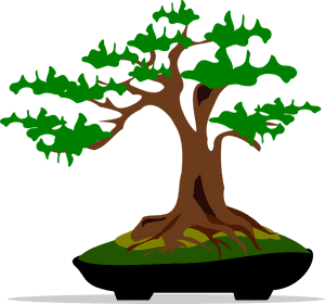 Stylized Bonsai Tree Illustration PNG