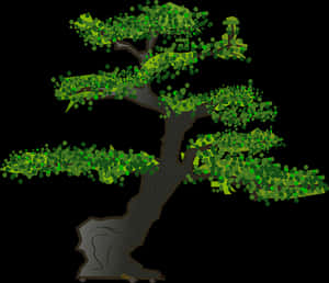 Stylized Bonsai Tree Illustration PNG