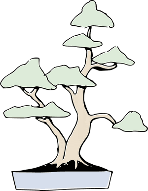 Bonsai Clipart , Png Download - Twin Trunk Bonsai, Transparent Png PNG image with transparent background