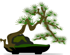 Stylized Bonsai Tree Illustration PNG