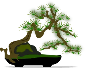 Stylized Bonsai Tree Vector PNG Image