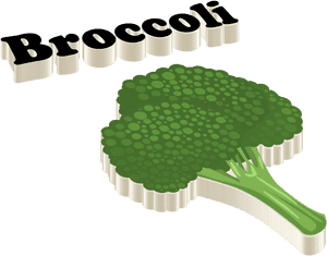 Broccoli Png Images, Transparent Png PNG image with transparent background