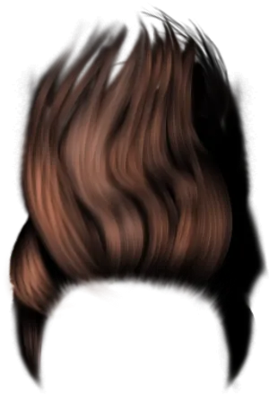 Stylized Brown Hair Graphic PNG Image