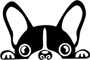 Stylized Bulldog Face Graphic PNG image with transparent background