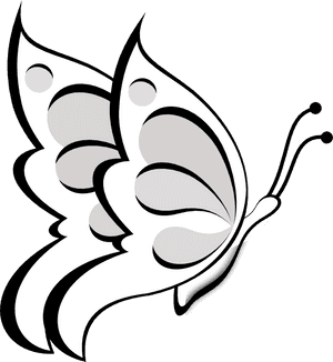 Butterfly Papillon Dog Free Content Clip Art - Outline Images Of Butterflies, HD Png Download PNG image with transparent background