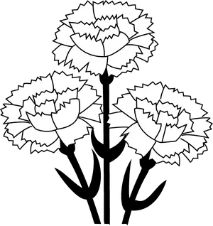 Stylized Carnation Trio PNG Image