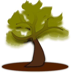 Transparent Tree Bark Texture Png - Tree, Png Download PNG image with transparent background