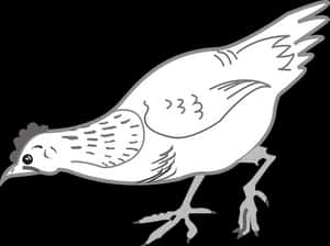 Stylized Chicken Illustration PNG image with transparent background