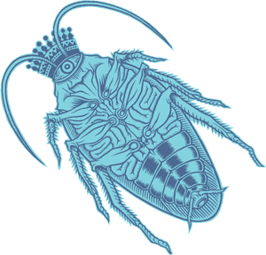 House Fly, HD Png Download PNG
