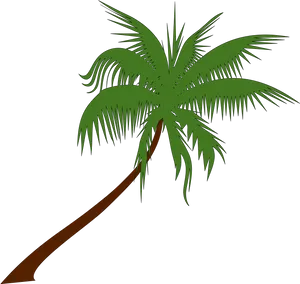 Stylized Coconut Tree Vector PNG Image