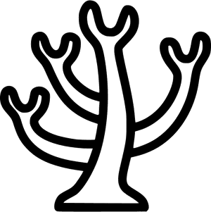 Coral - Coral Icon Clipart Black And White, HD Png Download PNG with transparent background