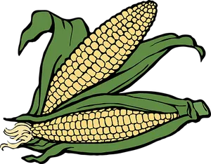 Stylized Corn Illustration PNG Image