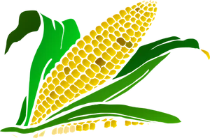 Stylized Corn Illustration PNG Image