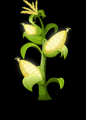 Stylized Corn Plant Illustration PNG with transparent background
