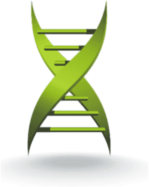 Stylized D N A Structure Graphic PNG