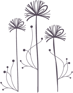 Freetoedit Dandelions Dandelionseeds Png Transparentbac - Dandelion Png With Transparent Background, Png Download PNG