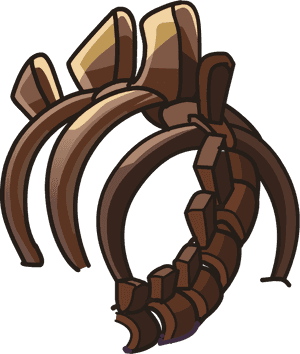 Fossil Png, Transparent Png PNG with transparent background