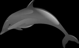 Stylized Dolphin Graphic PNG image with transparent background